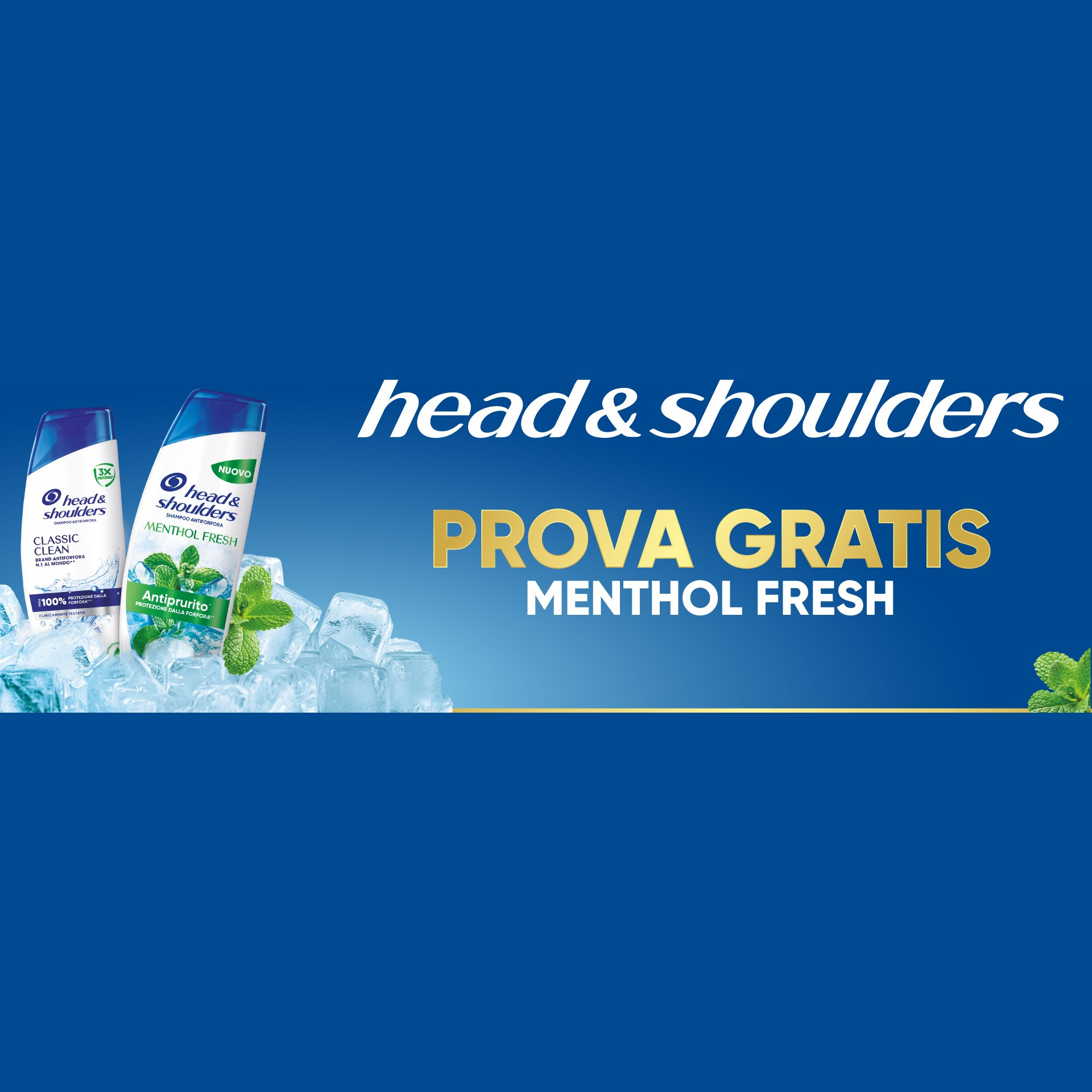 Head & Shoulders