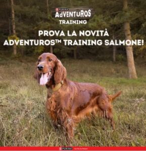 Purina Adventuros campione omaggio novità purina adventuros training salmone